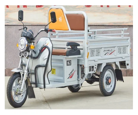 Factory Hot Selling Low Maintenance Energy-saving Electric Three Wheel Cargo Vehicle