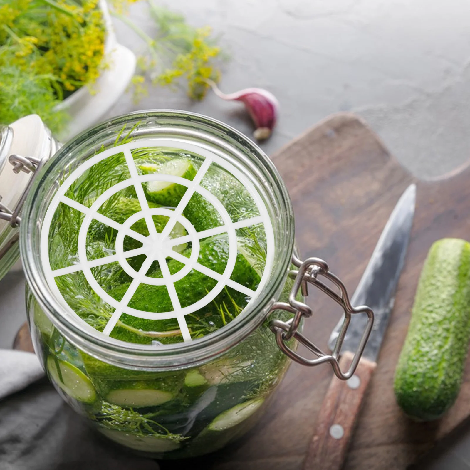 Pot de cornichons, presse à poids, outil de Fermentation des légumes, plaque en maille plastique pour choucroute, mise en conserve de cuisine domestique 10 pièces