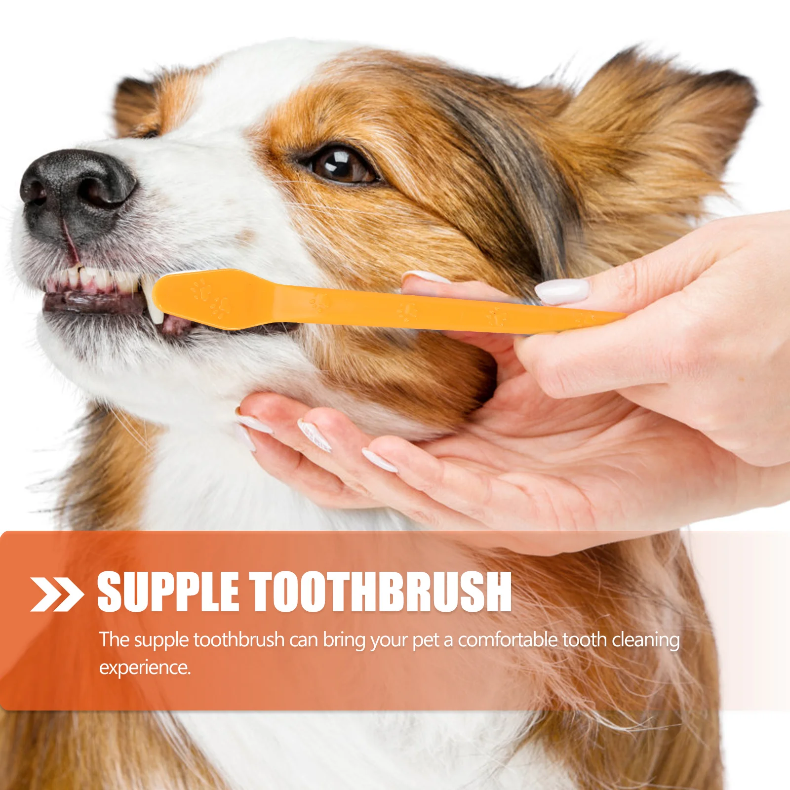 

10pcs Puppy Tooth Brush Portable Pet For Cat Teeth Cleaning Dual-Head Dog Small Dog Toothbrush Pet Supplies Oral Care Handheld
