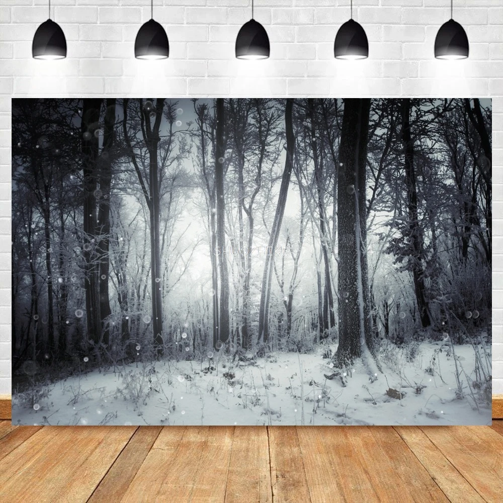 شجرة قديمة غابة الشتاء حديقة الثلج في الهواء الطلق المناظر الطبيعية الخلابة التصوير خلفية عيد الميلاد التصوير خلفية التصوير الفوتوغرافي استوديو الصور