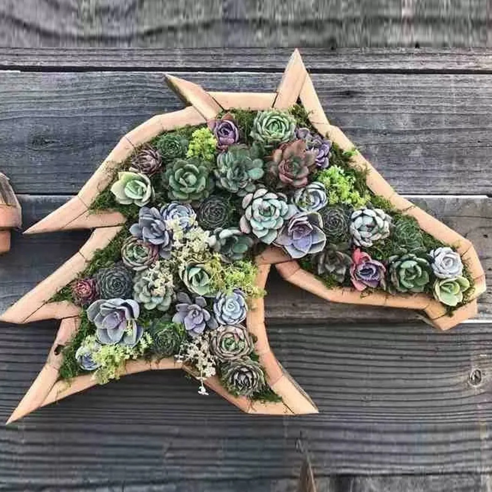 Vasi da fiori Vasi per piante in legno Paesaggio da giardino Vaso bonsai Fioriera per esterni a forma di animale Vaso da fiori Decorazioni per la casa Fioriera succulenta