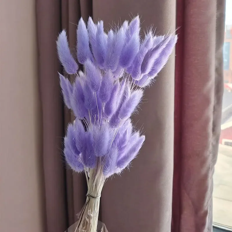 Variant: Purple