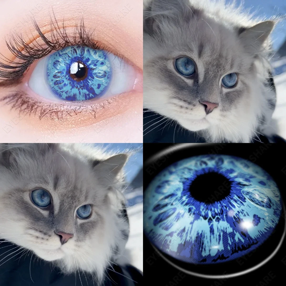 AMARA CAT EYE Cosplay Blue Color Contact Lenses for Eyes Yearly Makeup Halloween Beauty Yellow Contact Lenses Eye Cosmetic