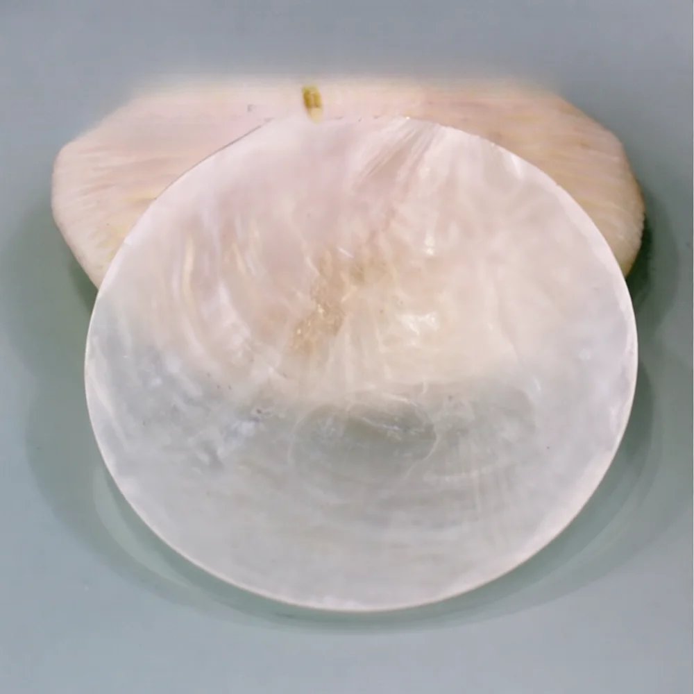 Natural Seashell Discs For Crafting DIY Wind Chimes Jewelry Making Wedding Decor Shiny Mother Of Pearl Round Shell Pieces