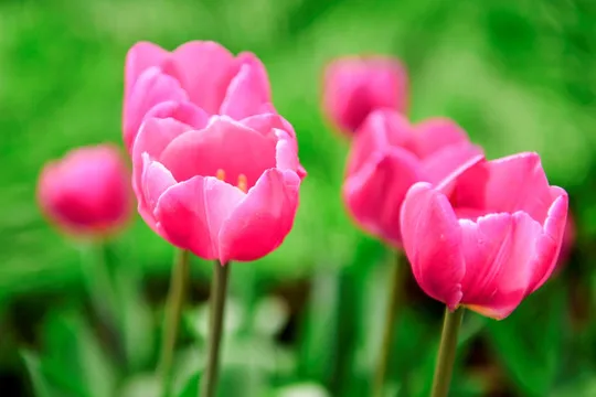 

Brass Steering Cup C-shaped Seat Rear Cup Gear Cover Counterweight For MJX H12Y H12Y+RC Car Parts