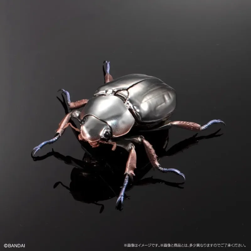 BANDAI Biology Illustrated Guide Scarab Beetles Gashapon Children's Day Gifts Collect Ornaments Amusement Figure Model Toys