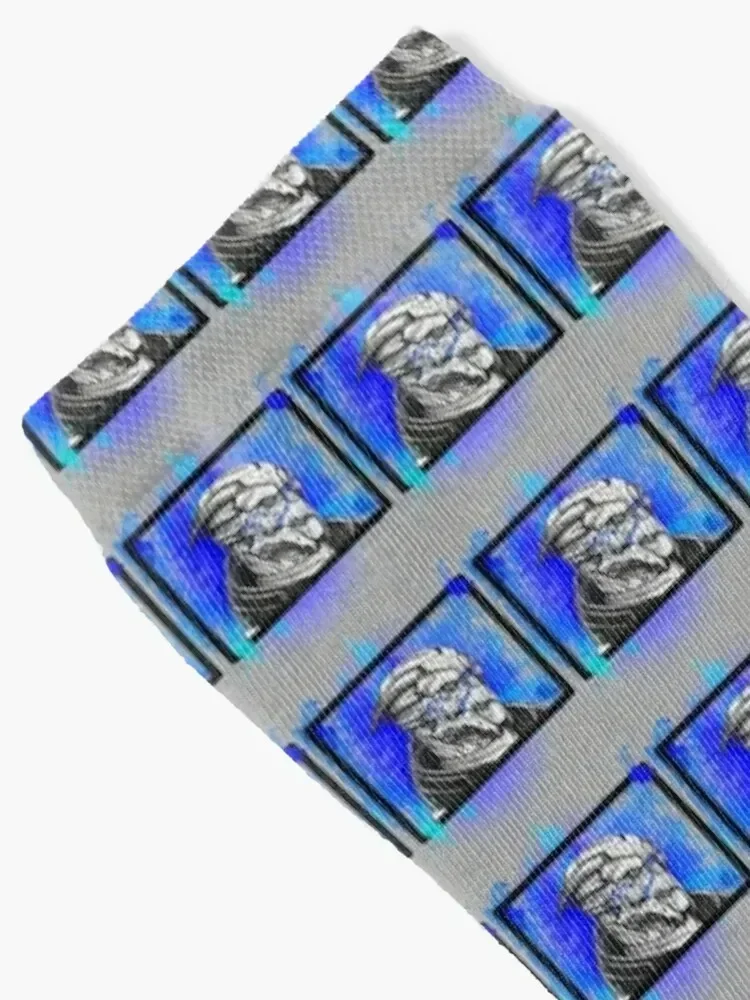 Garrus Vakarian: Mass Effect (Blue) Socks snow colored Woman Socks Men's