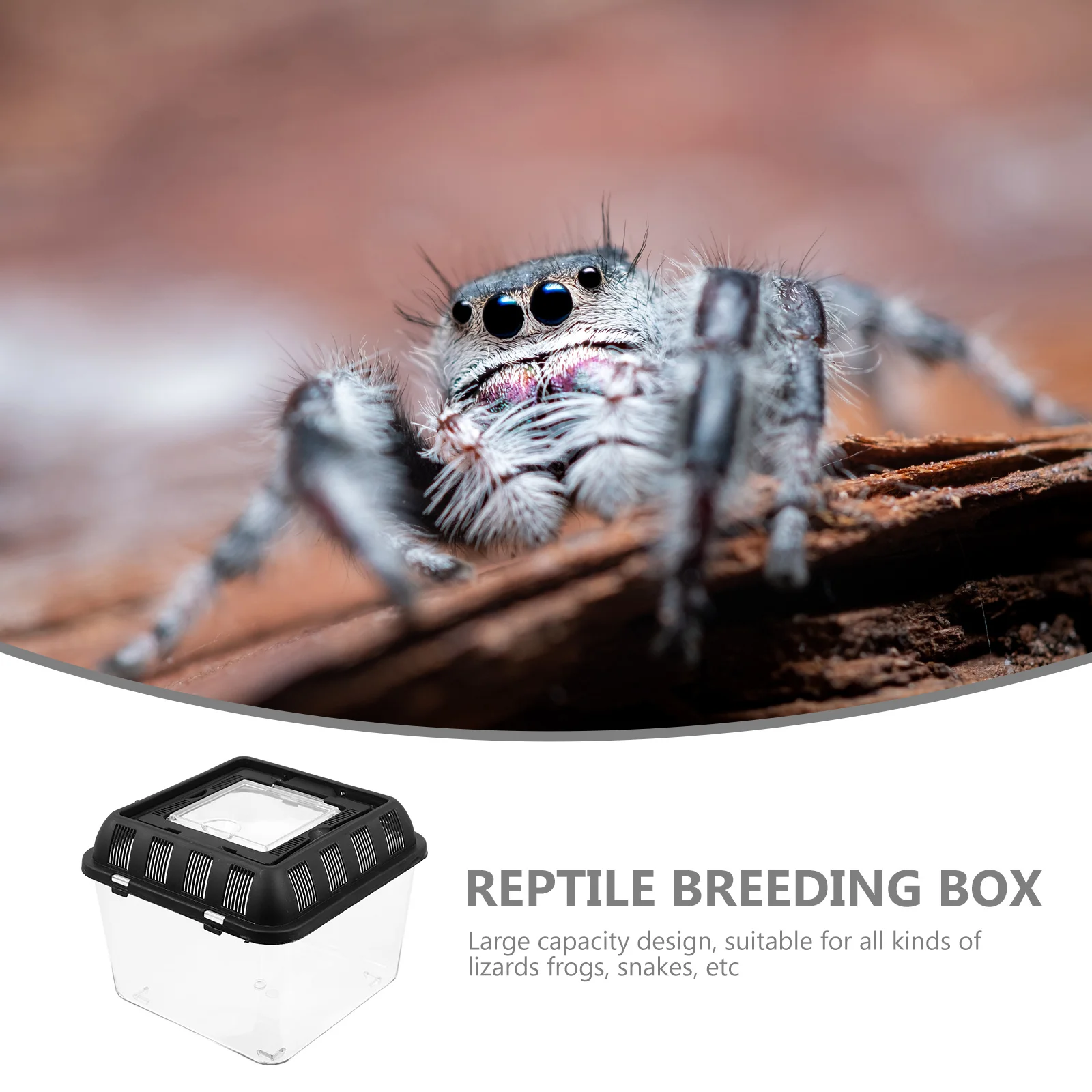 

Portable Breeding Box For Reptile Transparent Feeding Case With Ventilation Holes Durable Clear Reptile Supply