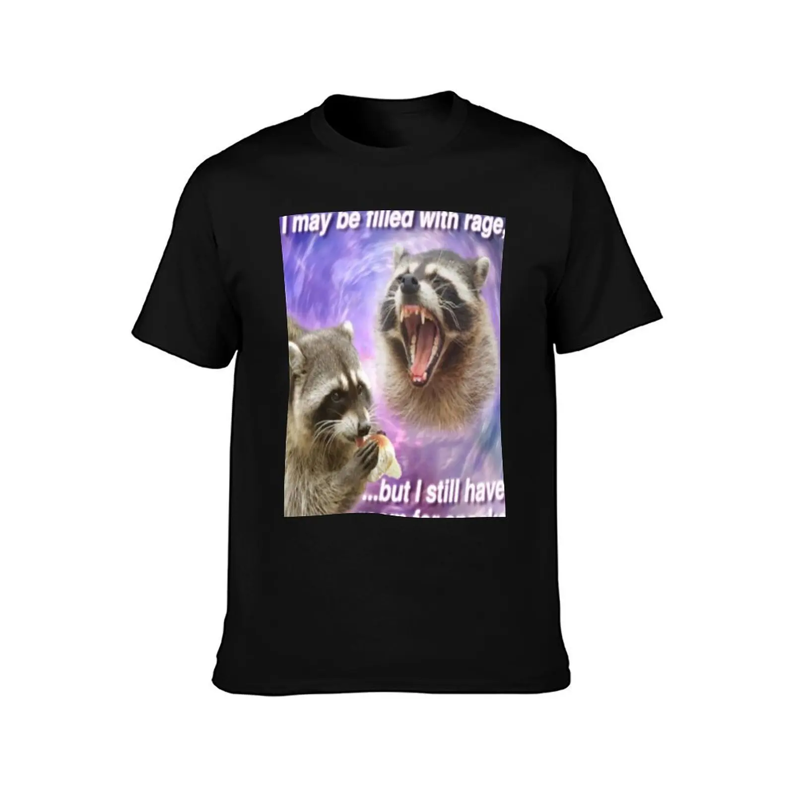 I may be filled with rage, but I still have room for snacks - funny raccoon quotes T-Shirt Summer Festival T-Shirt