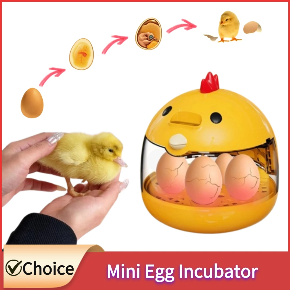 Mini Egg Incubator for Home Automatic Temperature Humidity Control Transparent Window Hatching Machine for Chickens Ducks