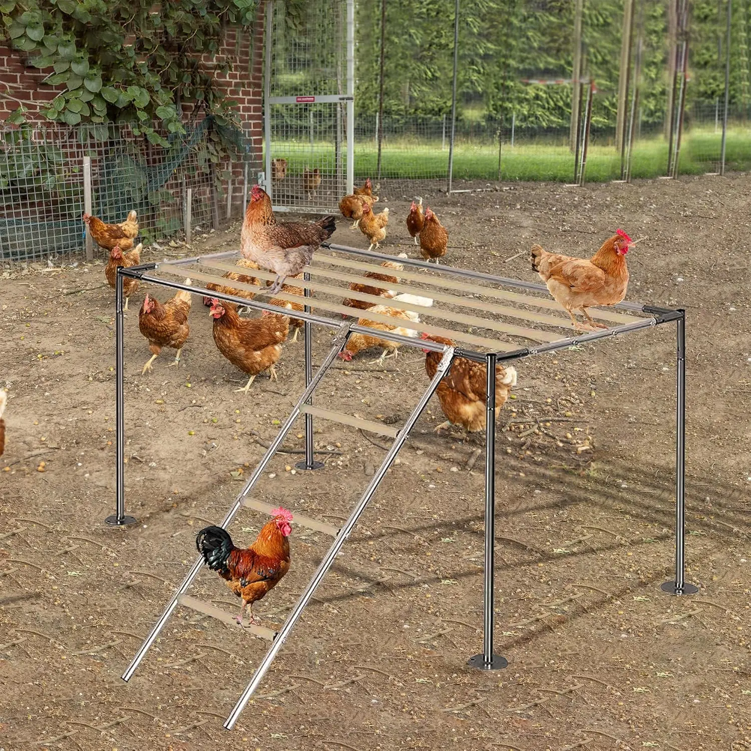 

Chicken Roosting Ladder, Chicken Perch Coop, Large Metal Coop Accessories, Strong and Durable, Easy to Installation&Clean, Backy