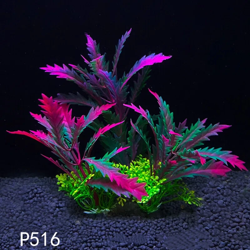 14 centimetri/5.5 pollici Acqu - Planted Aquarium Bowl recensione e prezzo
