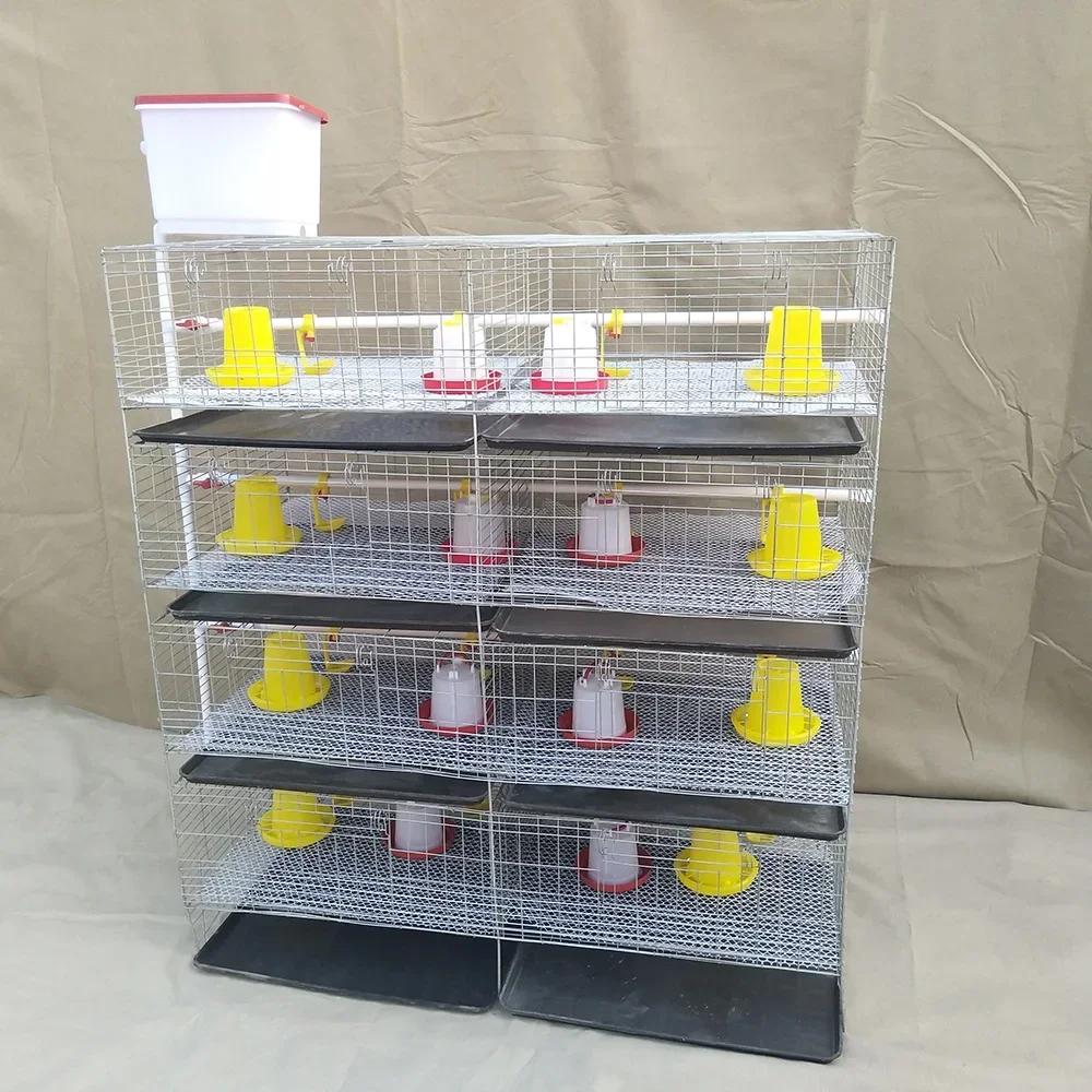 Moderne Baby-Kükenfutter, Geflügelfarmausrüstung, H-Typ, automatisches Batterie-Broiler-Hühnerkäfig-System für 1000 Vögel