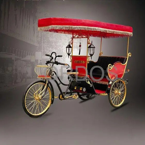 Electric tricycle for passenger sightseeing tuktuk rickshaw touring for historical city  royal wedding horse drawn carts