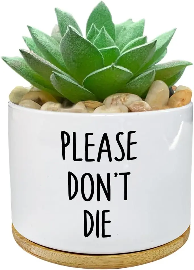 

Please Don't Die Flowerpot with Drainage Hole Ceramic Flowerpot with Bamboo Tray Small Bonsai Pots for Office Decoration Gifts