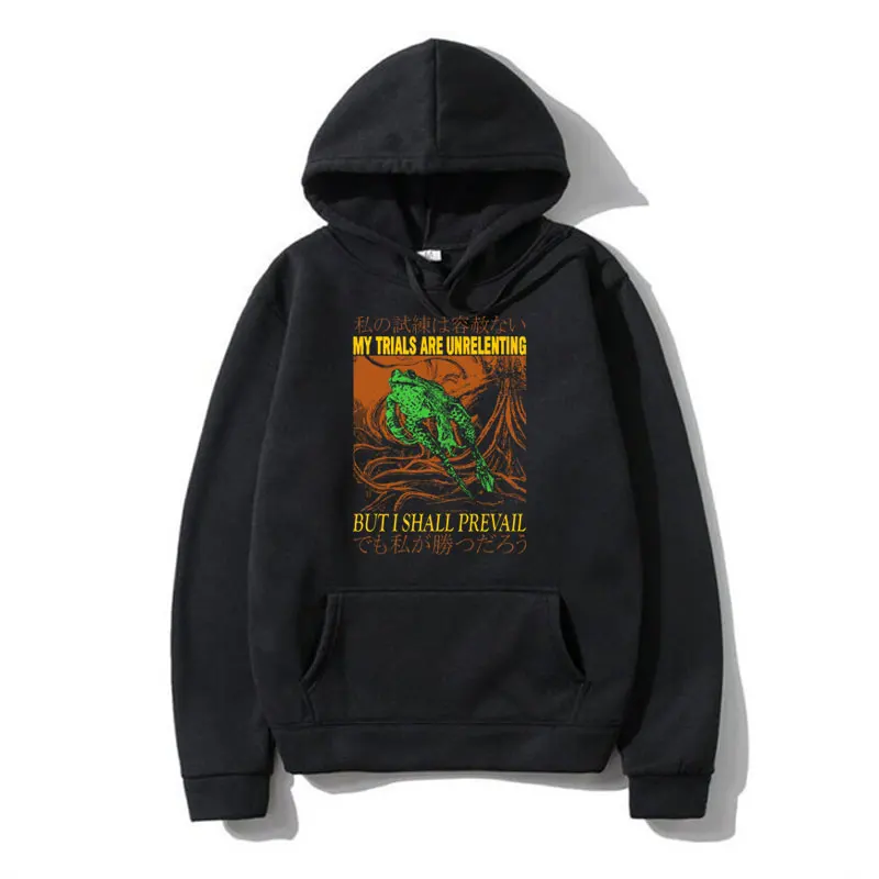 

My Trials Are Unrelenting Frog Funny Meme Hoodie Male Winter Long Sleeve Pullover Men Women Fashion Oversized Hoody Sweatshirt