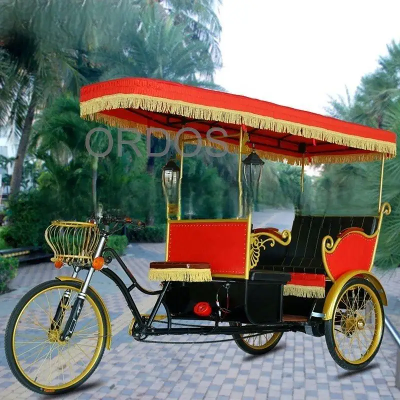 Electric tricycle for passenger sightseeing tuktuk rickshaw touring for historical city  royal wedding horse drawn carts