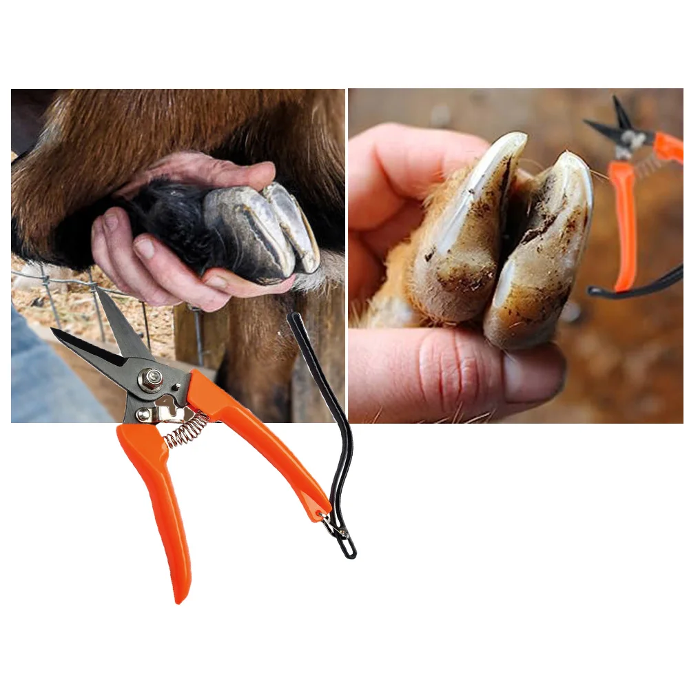 Hoof Trimming Shear Stainless Steel Goat Hoof Trimmers Sheep Nail Clippers Hoof Trimming Shears Garden Scissors Plants Pruning