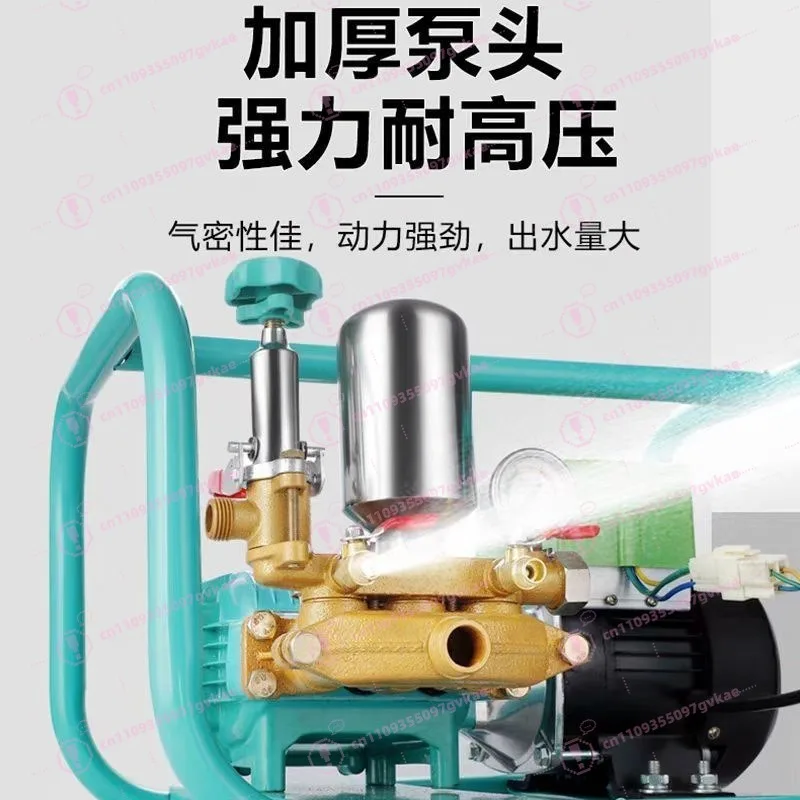 Intelligent Variable Frequency Electric Sprayer, 48-72V & 220V Agricultural Spraying Machine for Garden