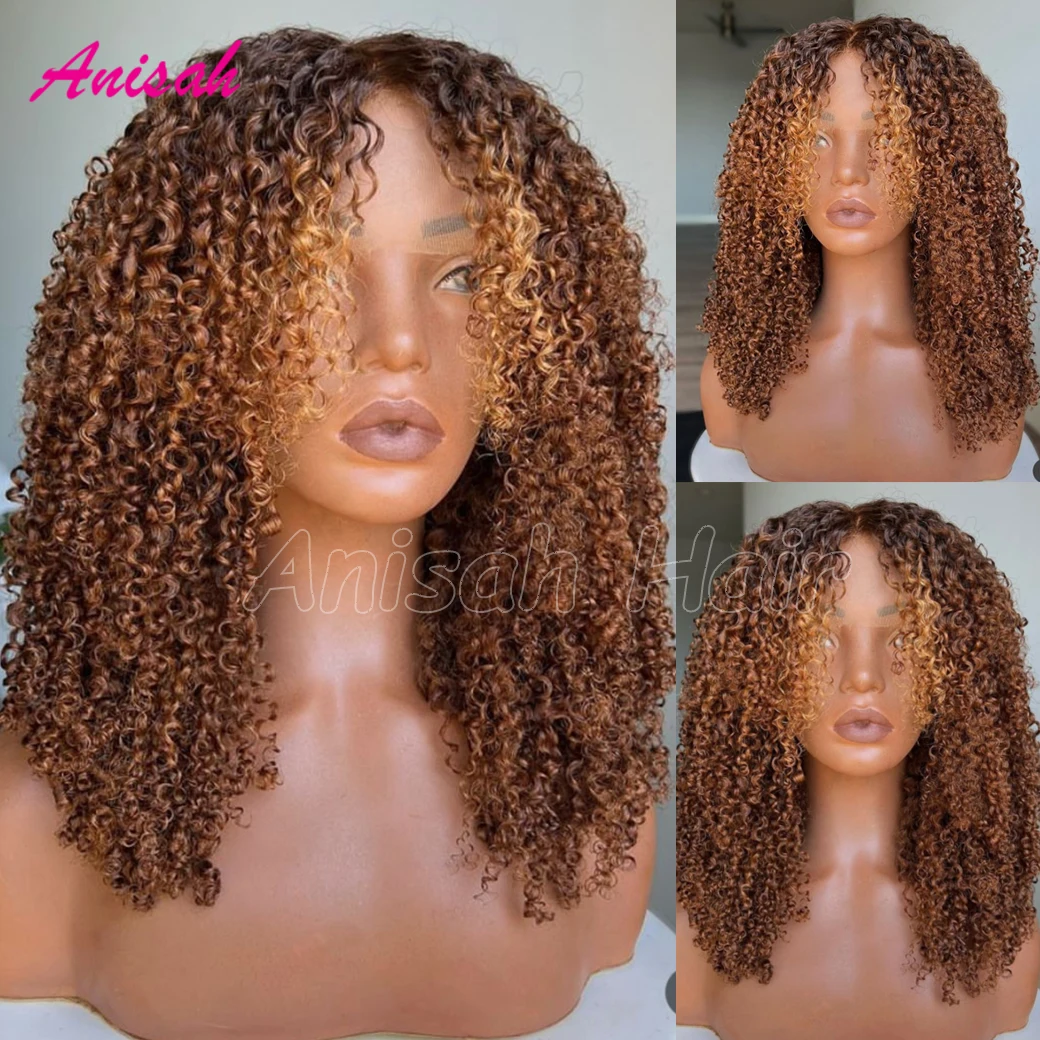 13x4 Transparent Lace Frontal Human Hair Wigs Afro Kinky Curly Colored Lace Front Wigs Human Hair Preplucked For Women