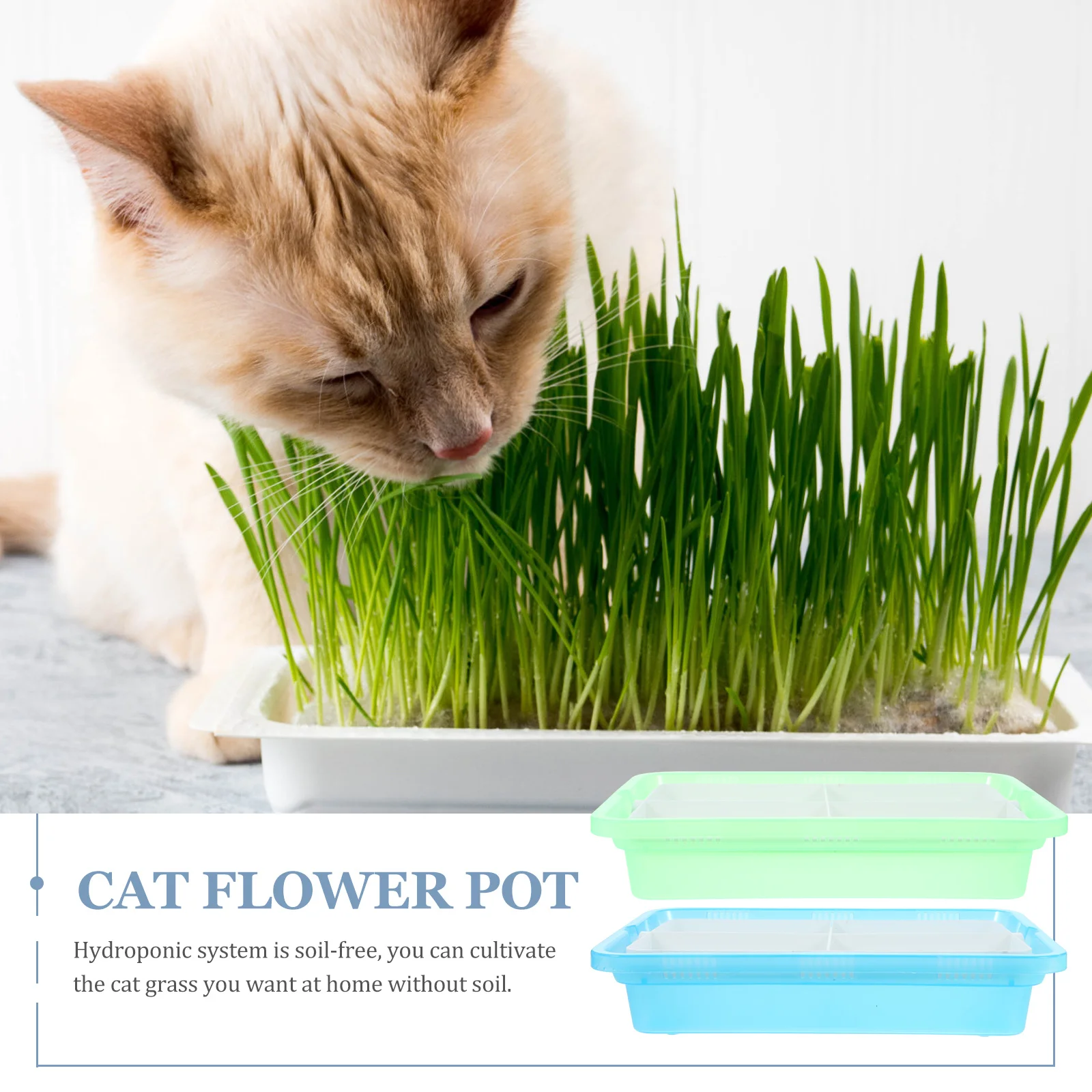 

2Pcs Cat Grass Planter Box Plastic Reusable Hydroponic Indoor Soilless Catnip Plants Growing Tray Large Capacity