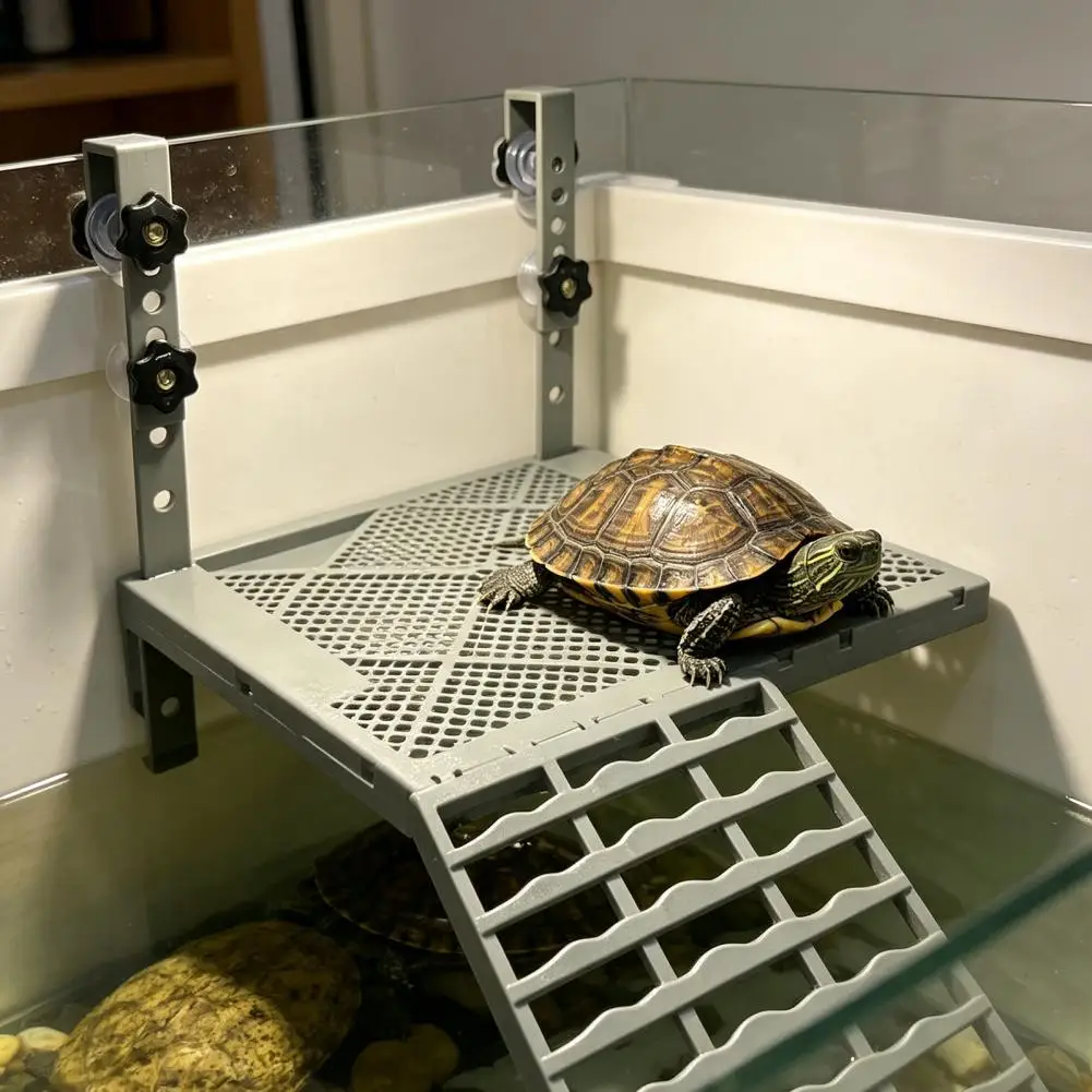 #29 Latest Aquarium Decor Offers