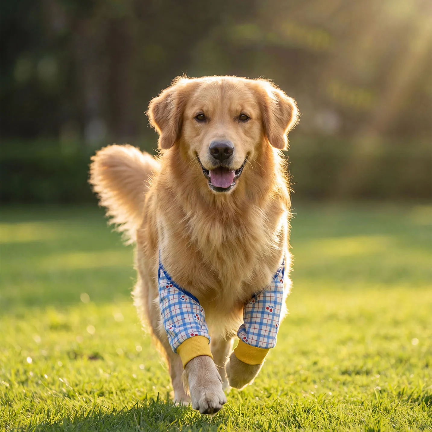 Dog Elbow Guards Pet Knee Pads Front Leg Joint Protection Cover Outdoor Prevent Dirt Du For Labrador Border Shepherd Large Dog