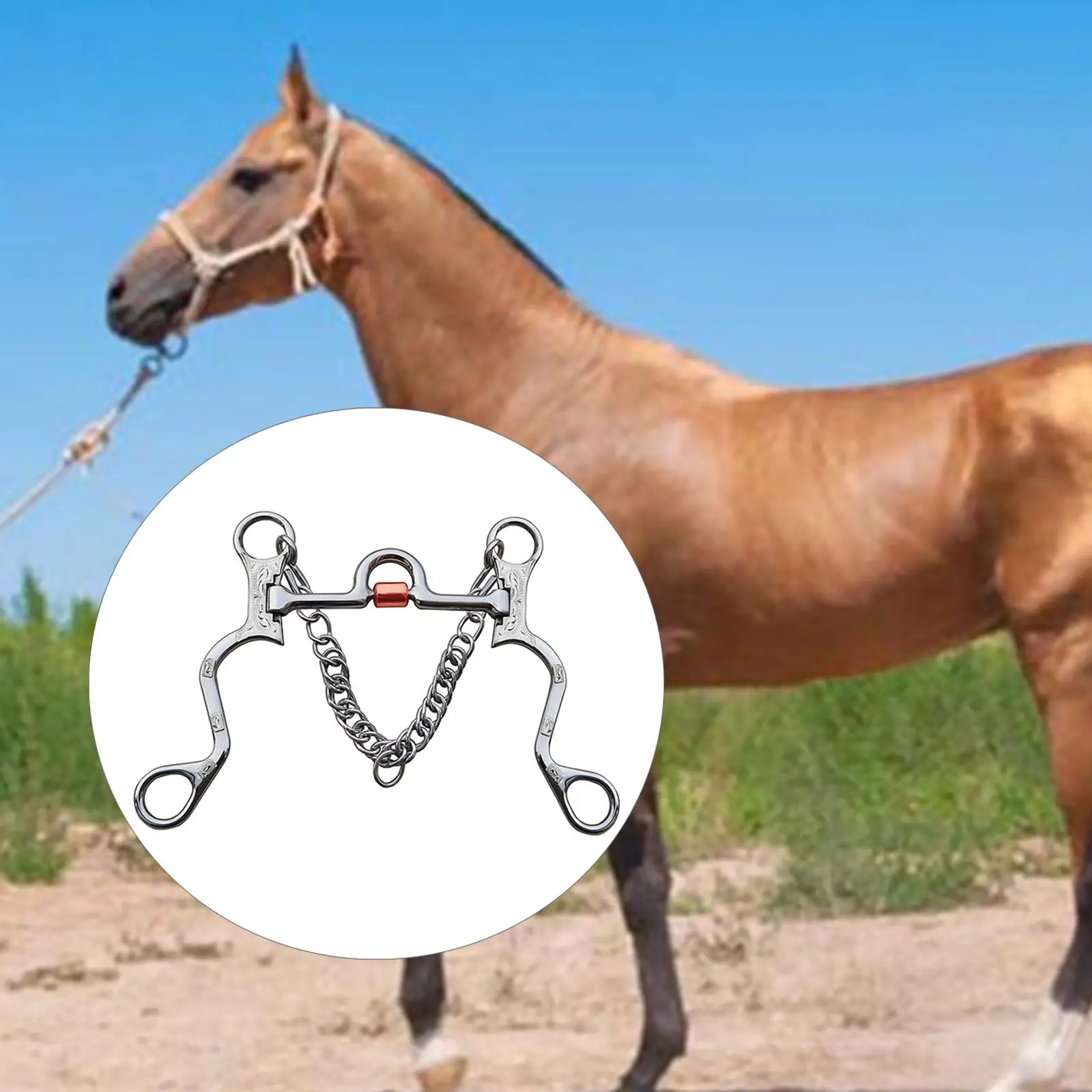 horse-training-equipment-stainless-steel-mouth-bit-anti-rust-cheeks-for-equestrian-accessories-tack