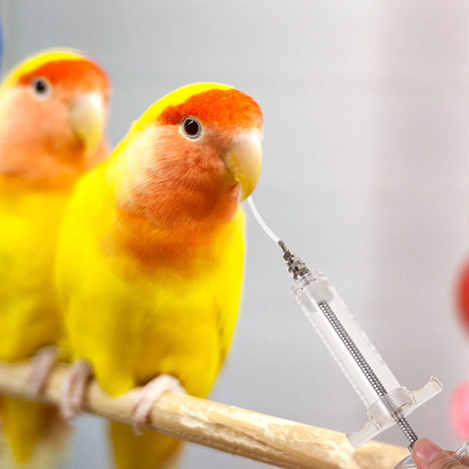 

2Sets Feeding Syringe Durable Plastic Bird Feeder Kit for Parrot Pigeon Turtle Snake Clear Scale Feeding Tube Practical