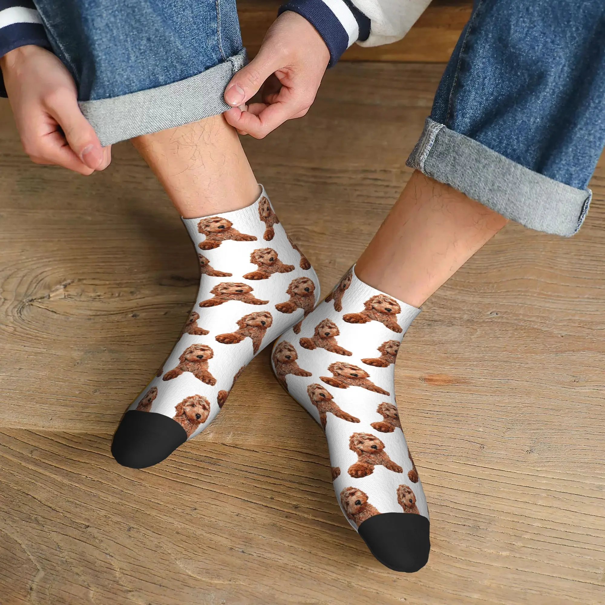

All Seasons Labradoodle Goldendoodle Poodle Mix Socks Harajuku Sport Middle Tube Socks Soft Funny Stockings for Men Women
