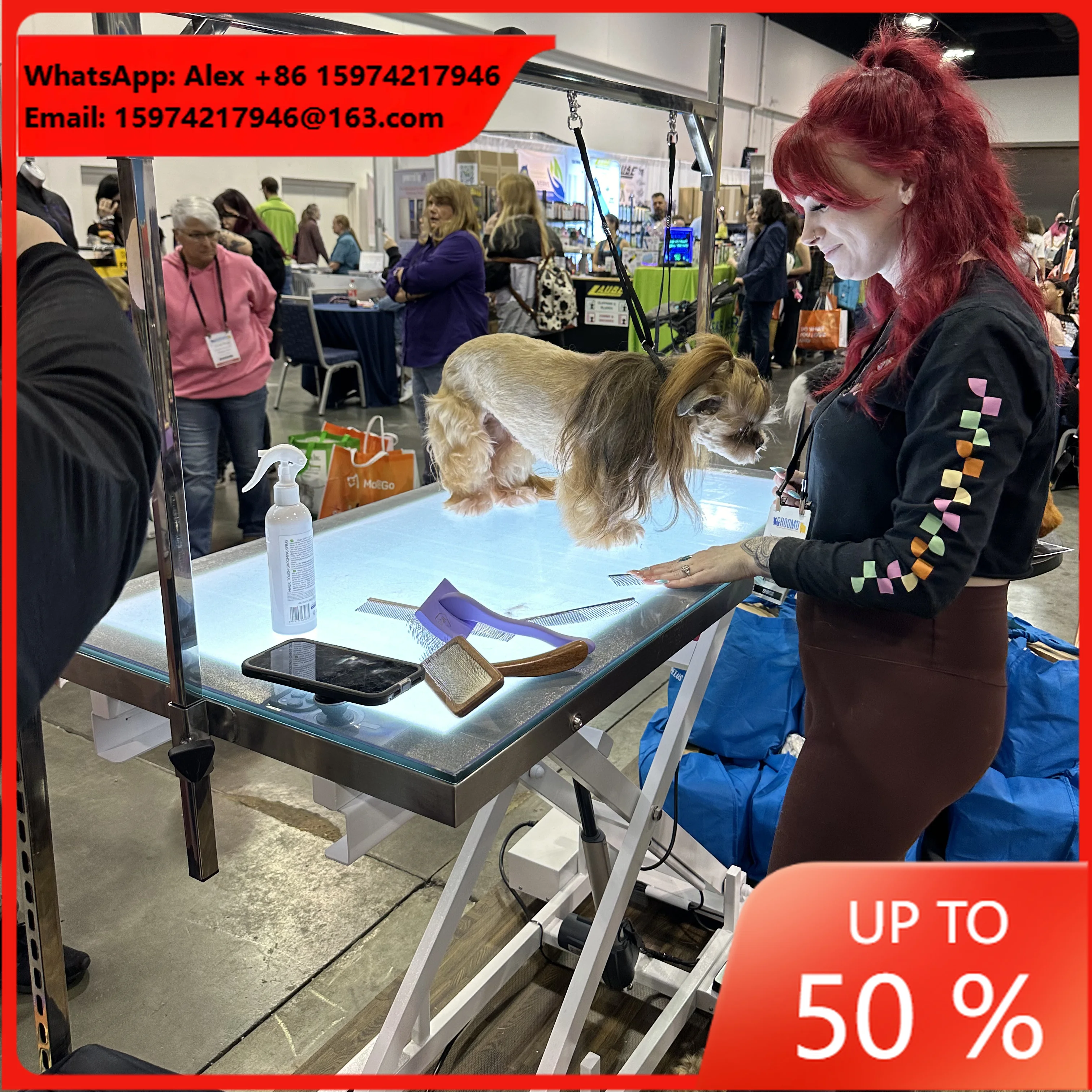 Modern Luxury Stainless Steel Pet Salon Grooming Table With Electric Lifting LED Light Charge-Powered Features