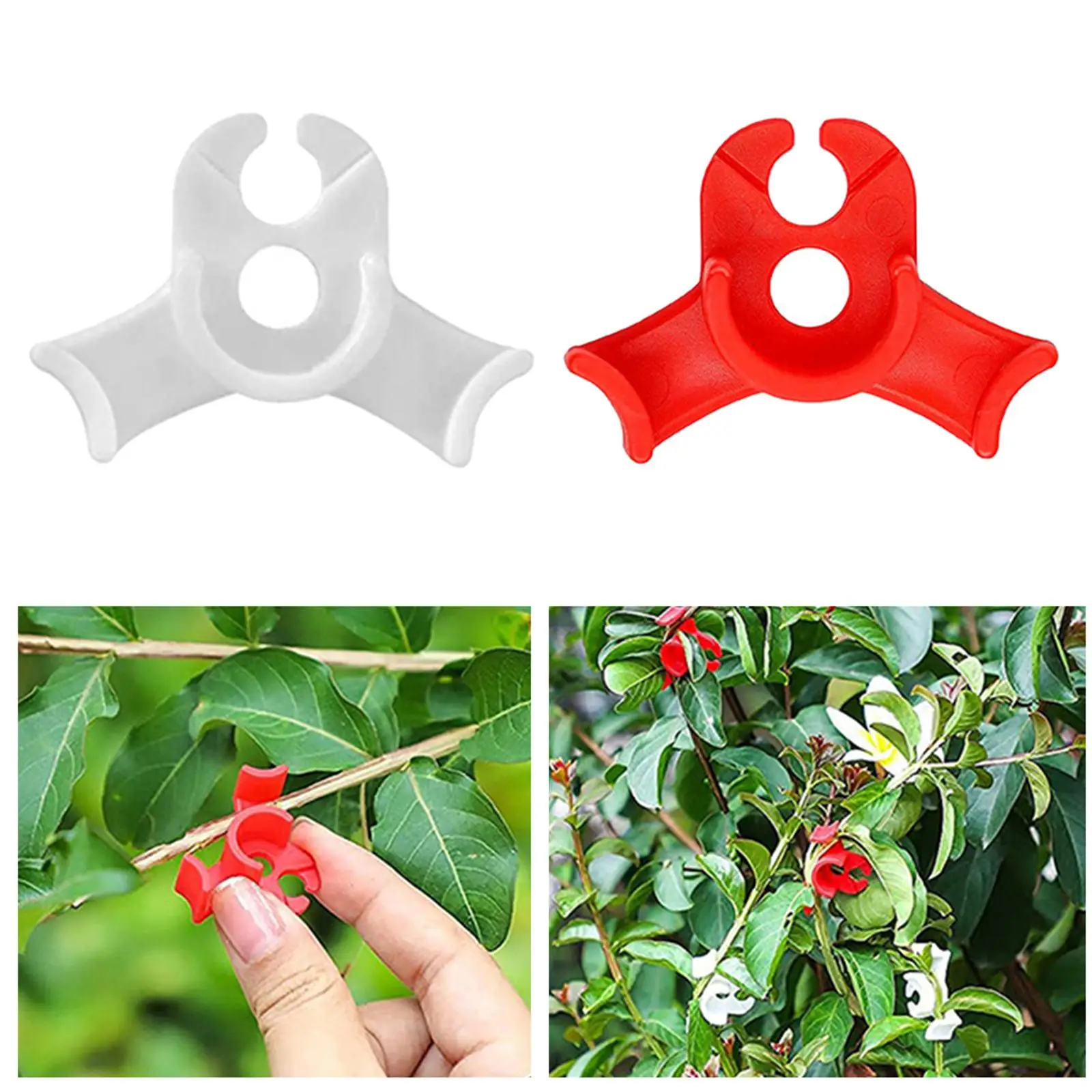 مشبك Lst لتجنب النباتات ومدربي النباتات والمرفقين ومشابك الطماطم #4