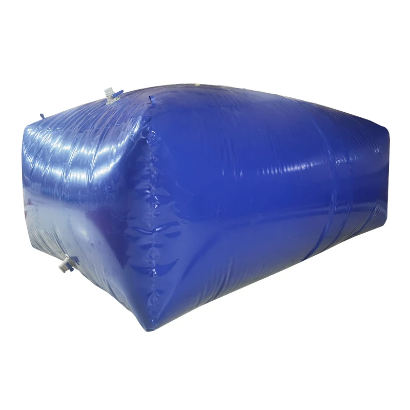 Home software Car water bag
