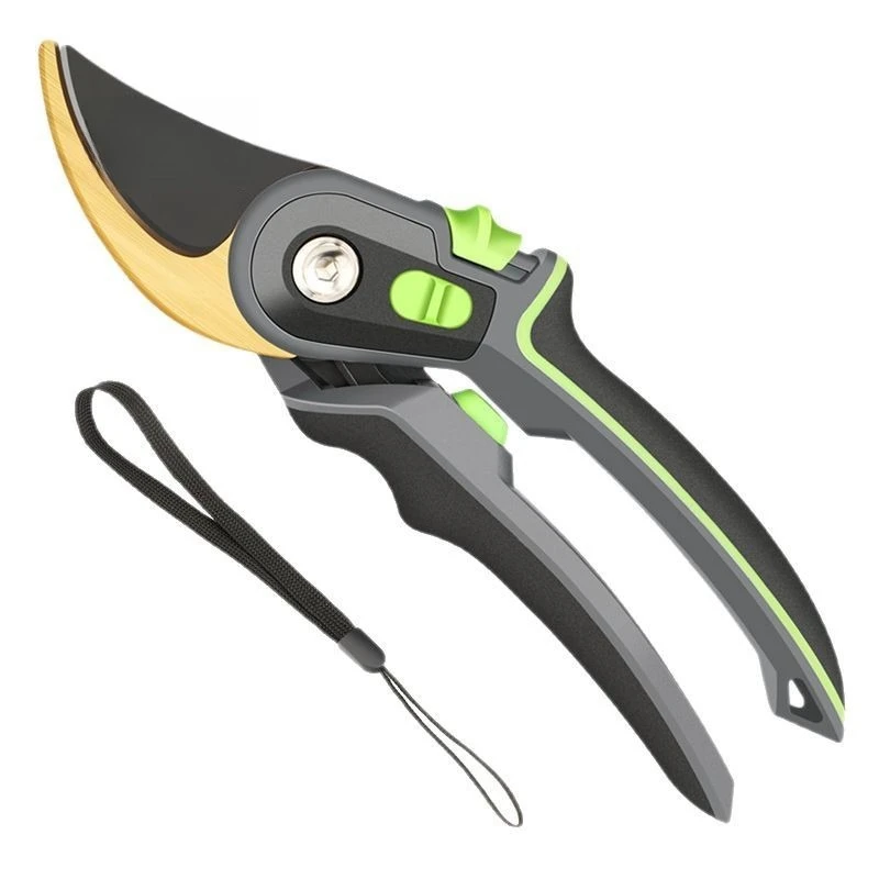 

High-quality horticultural fruit trees with pruning shears