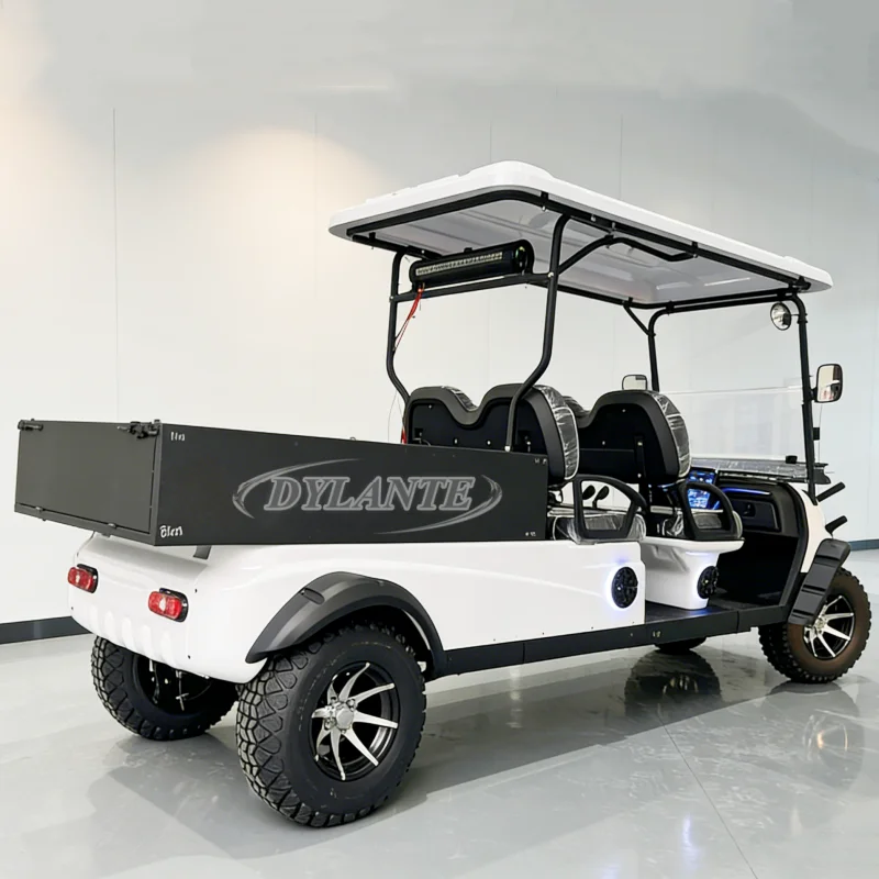 Rear Cargo Box Electric Car 60v/72v Lithium Ion Battery Passenger Golf Cart 12 Inch Reversing Auxiliary Off Road Vehicle