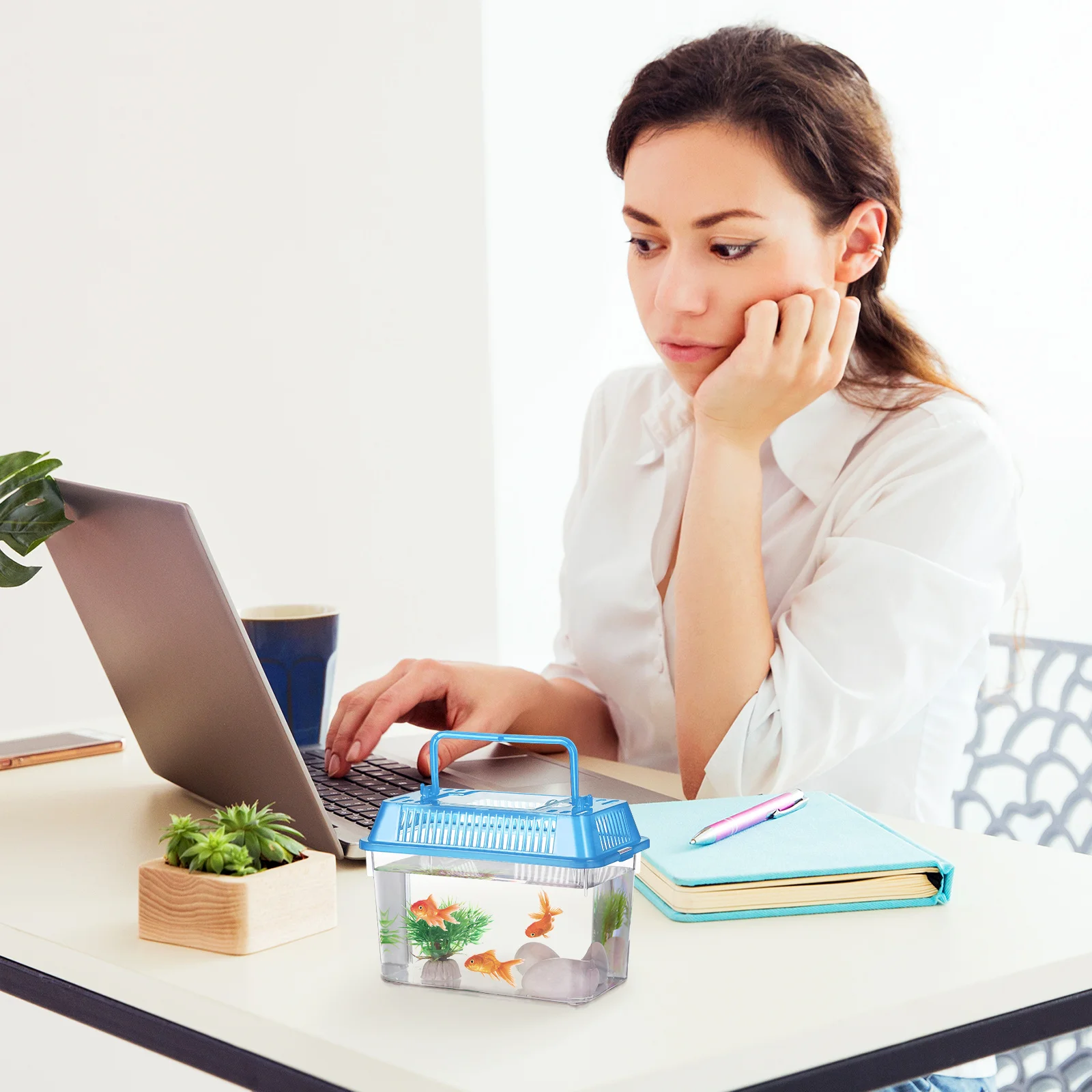 

5pcs Handheld Aquarium Portable Turtle Feeding Box Lightweight Plastic Fish Tank For Goldfish Reptile Transparent Breeding Case