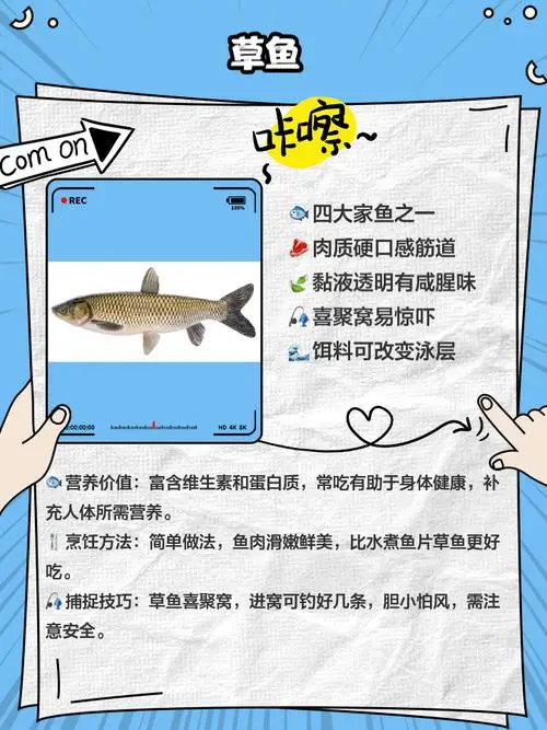 

Front and Rear Metal Axle Housing for 1/8 YK4081 4082 4083 Absima Sherpa RC Car Upgrade Spare Parts