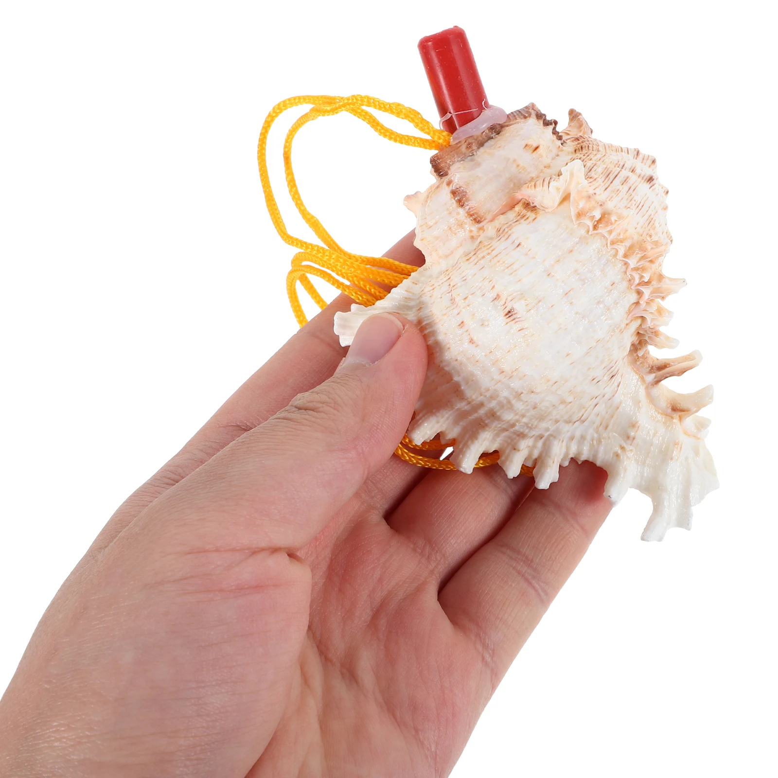 

Conch Whistle 9-10CM Natural Shell Musical Instrument Beach Decorations Wedding Party Favors Seashell Horn Blow Toy
