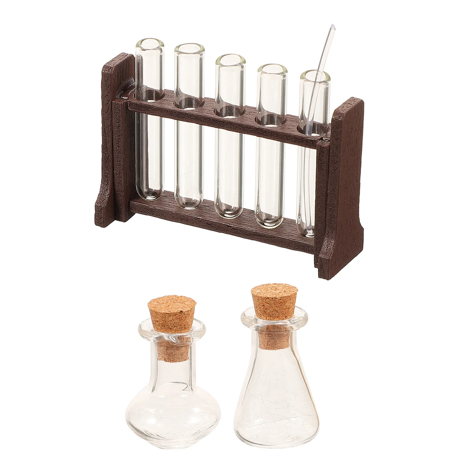 Experiment Toy Set Laboratory for Mini House Simulation Wooden Science Child Terrarium Kit