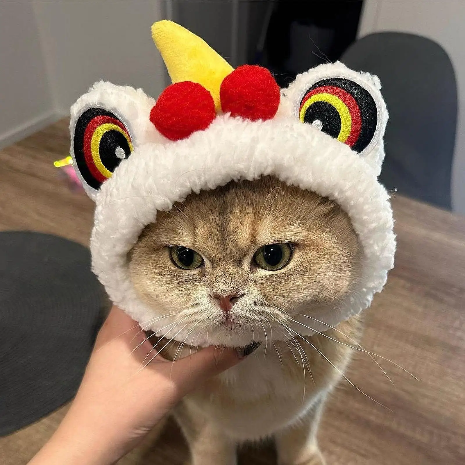 Cat Costume Hat,Lion Dance Dog Headwear,New Year Head Accessorries,Cute Warm Cap,Pet Headwear for Small Dogs Cats,Kitty,Puppy