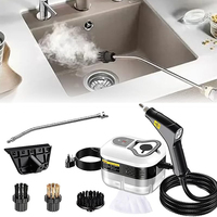 High Pressure Temperature 2500W Handheld Steam Cleaner 220V Multifunctional Sterilization Kitchen Furniture Sofa Bathroom Car