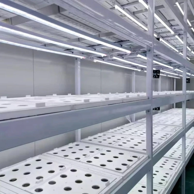 Custom Hydroponic Container Greenhouse Vertical Farming Systems for Lettuce Leaf Vegetables