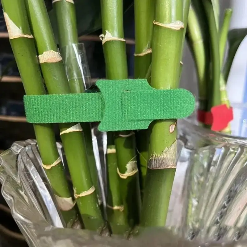 50/100/200pcs Reusable Adjustable Non-Slip Nylon Plant Ties With Hook And Loop Fasteners, Ideal For Gardening Applications