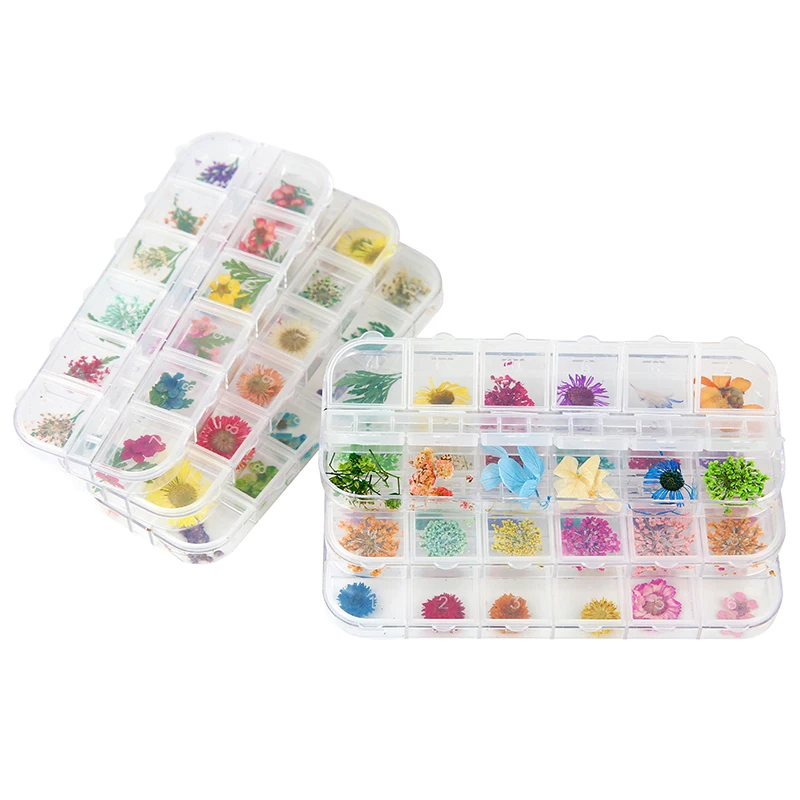 1 صندوق زهرة مجففة حقيقية لمسمار الراتنج لوازم حشوات ورقة سكرابوكينغ الديكور الحرف اليدوية النتائج Diy بها بنفسك صنع المجوهرات #5