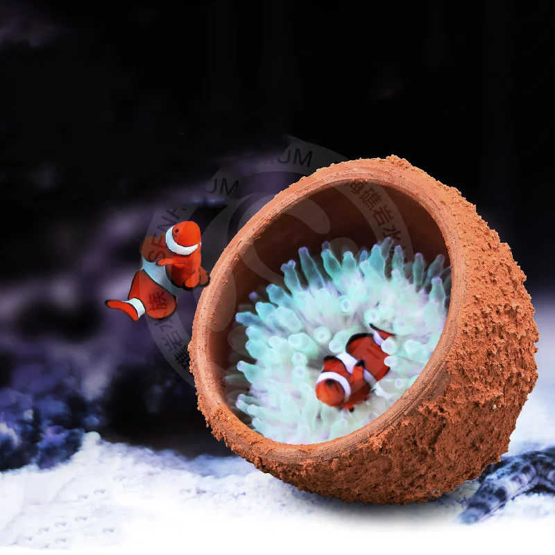 Magnetic Anemone Nest Prevent Running Away Clay and Live Rock Made for Aquarium Reef Tank Aquarium Plants