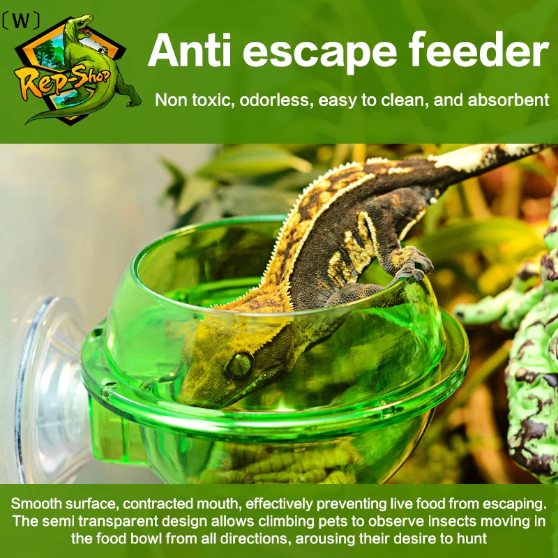 #8 Pet Food Containers Comparison Guide
