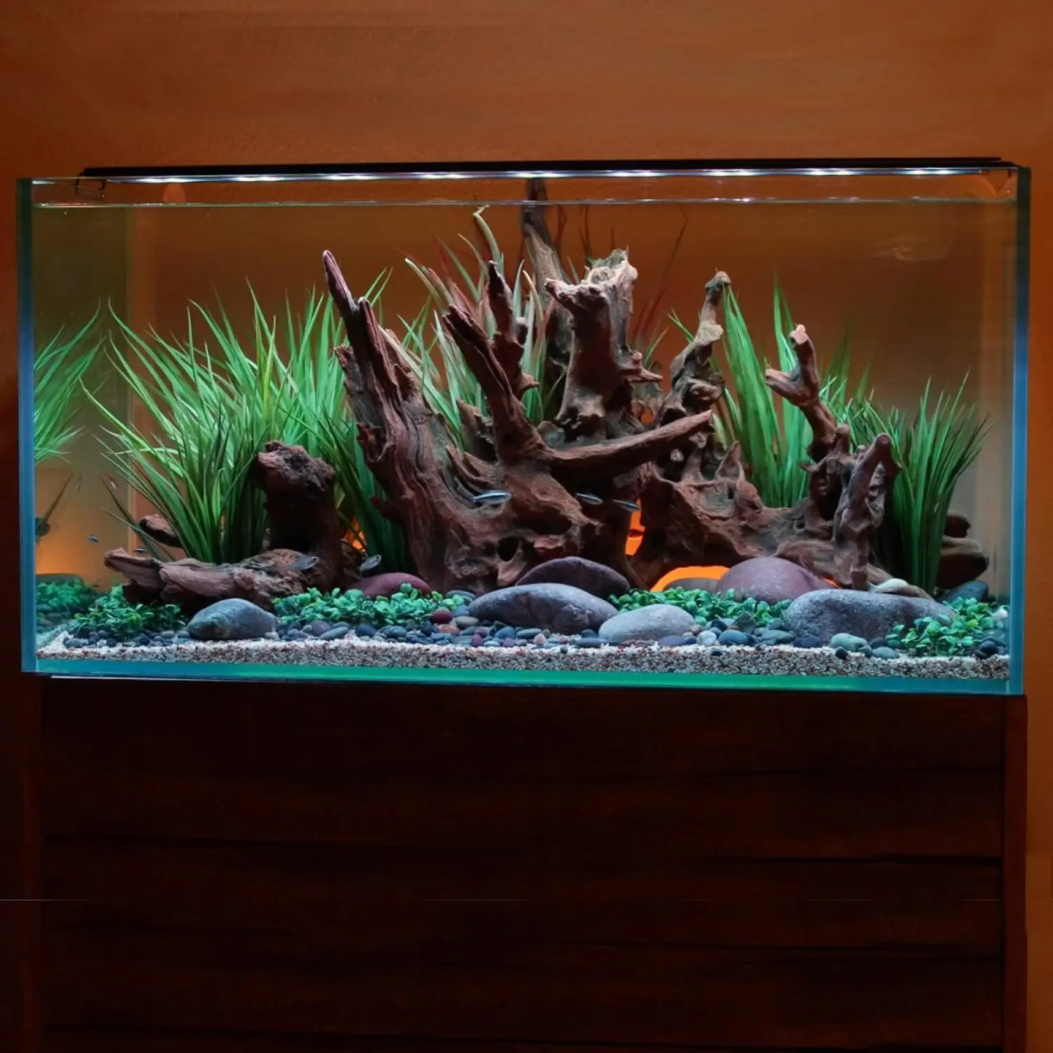 rent Usa 24-36"" Inch Satellite Freshwater Led Plus Full Spectrum Rgb+W Light For Aquariums | Wireless 24 Hour Remote