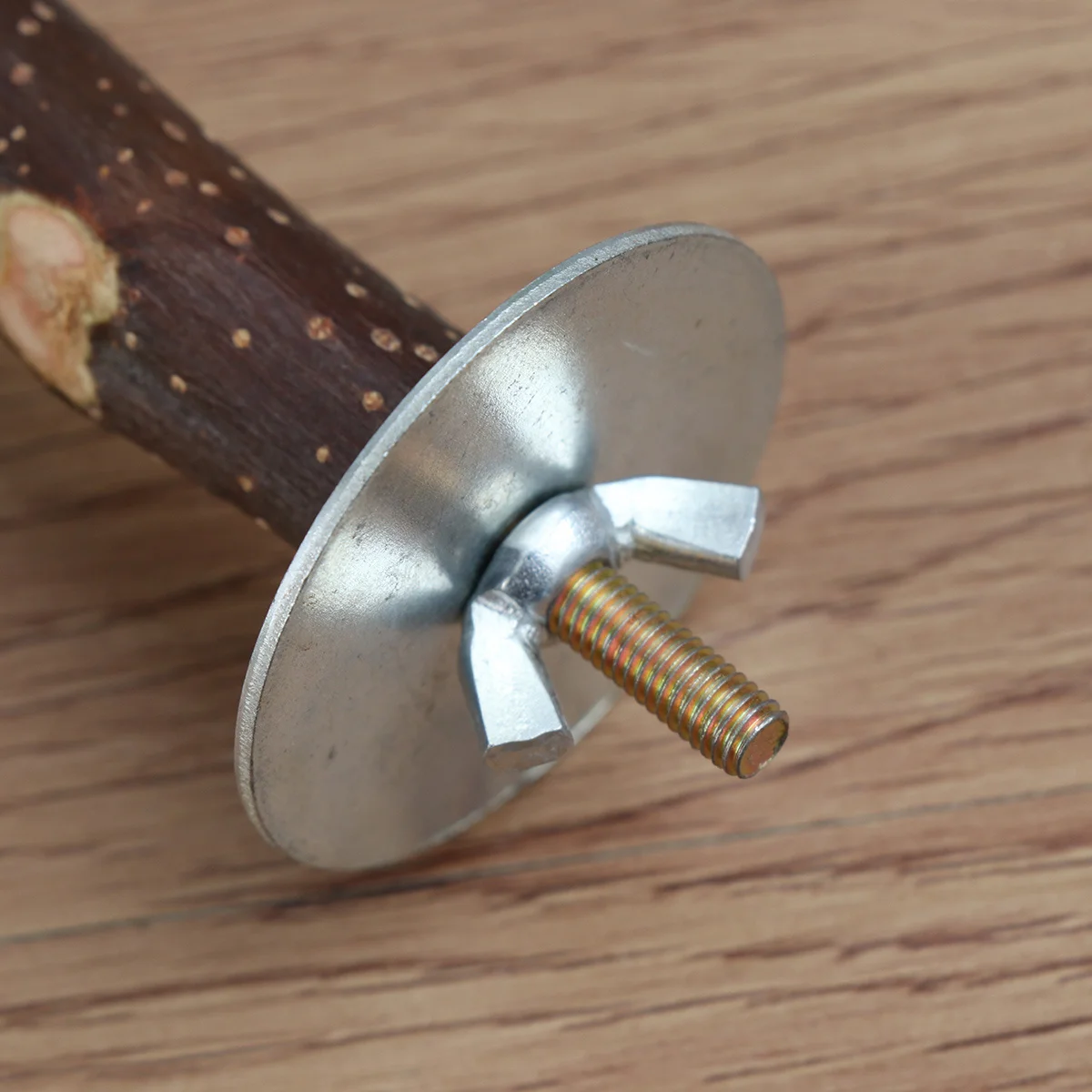 

T Shape Bird Stand Rack Natural Wood Perch for Parrot Bird Balance Playground Branch Perches for Birds Parrot Stand Rack