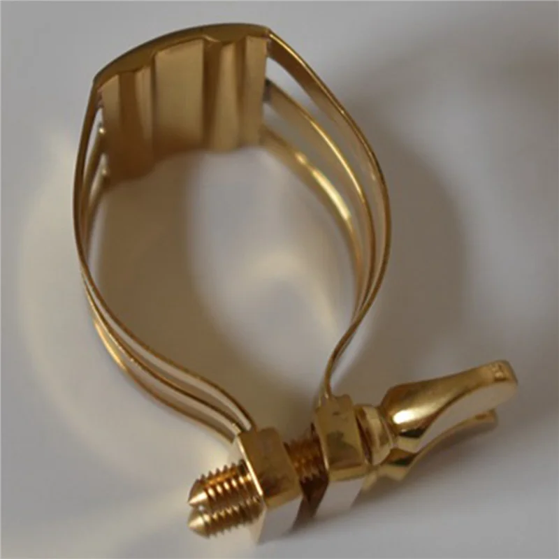 Dropship-2X abrazadera para bo - Musical Instrument Reed reseña y precio