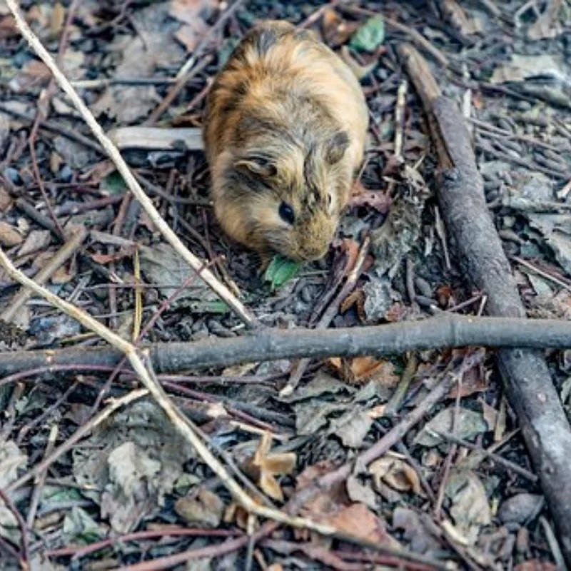 

Инструмент для разборки металлических шин в сборе для 1/10 RC Drift Car Motors, аксессуары для обновления